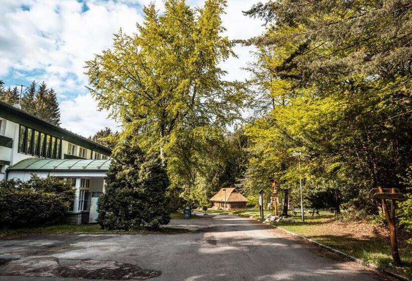 חדר סטנדרט עם מרפסת, Kouty