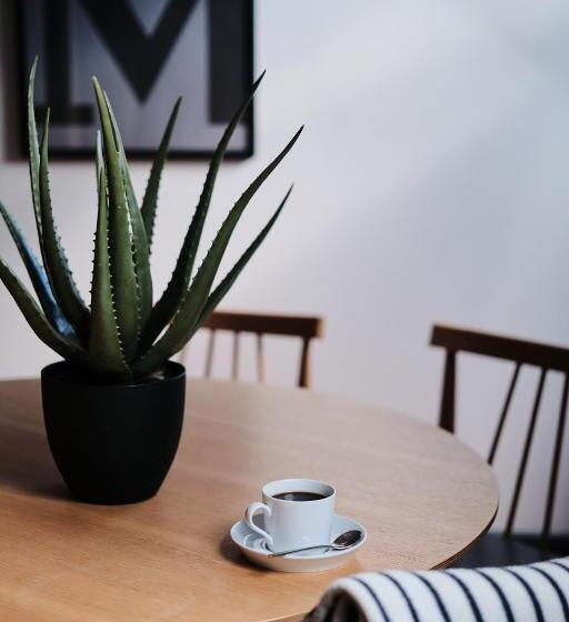 استودیو استاندارد با تخت کینگ, Vanadziņa Māja