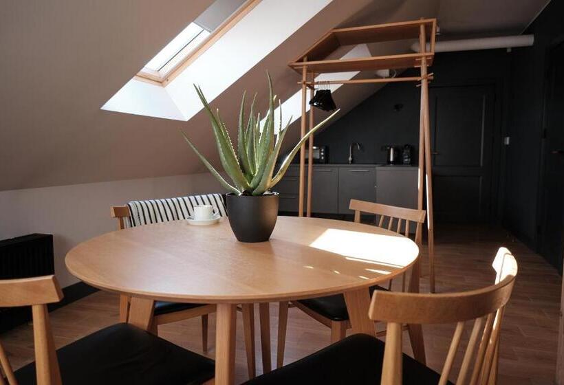 استودیو استاندارد با تخت کینگ, Vanadziņa Māja