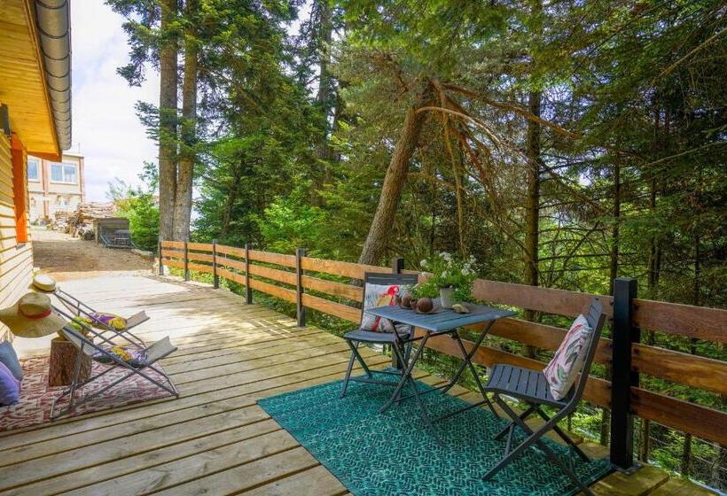 샬레, Le Mont Besset