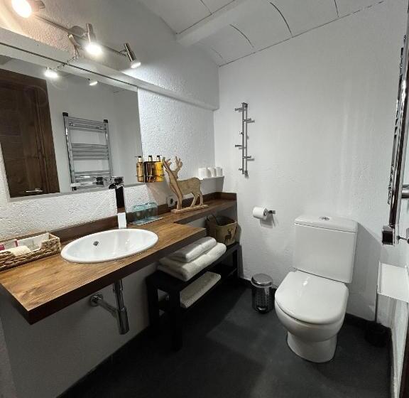 Номер Стандарт, Mas Farner Adults Only