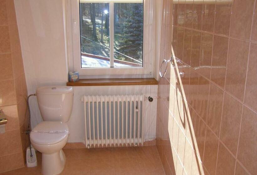 Номер Стандарт Вид на Реку, Garni Belveder