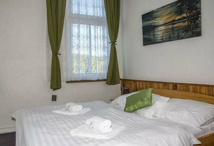 Номер Стандарт Вид на Реку, Garni Belveder