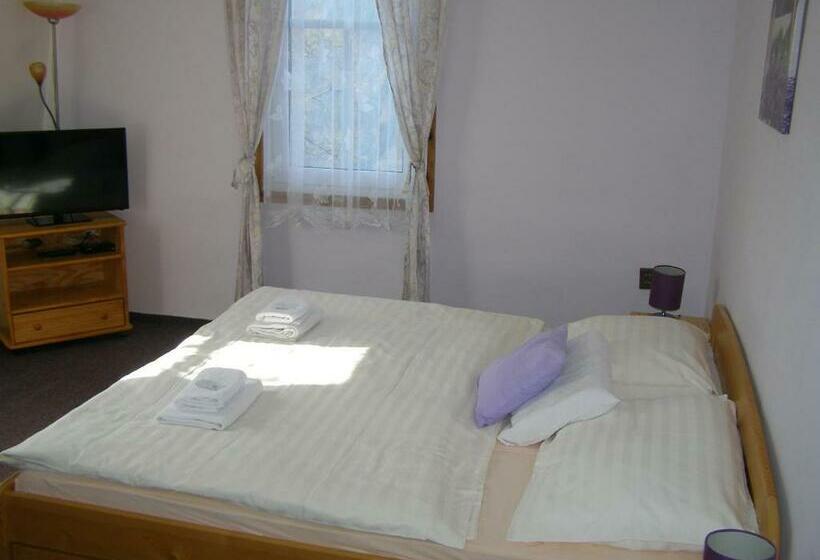 Номер Стандарт Вид на Реку, Garni Belveder