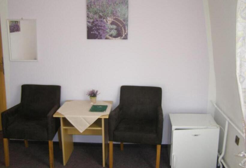 Номер Стандарт Вид на Реку, Garni Belveder