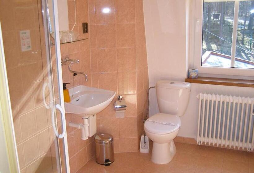 Номер Стандарт Вид на Реку, Garni Belveder