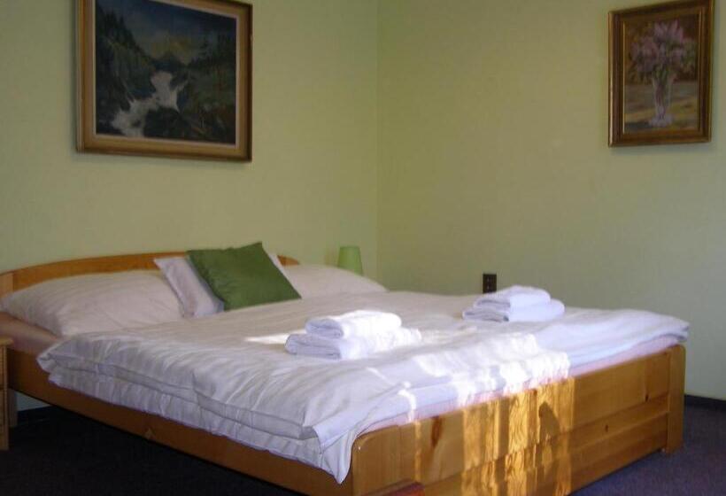 Номер Стандарт Вид на Сад, Garni Belveder