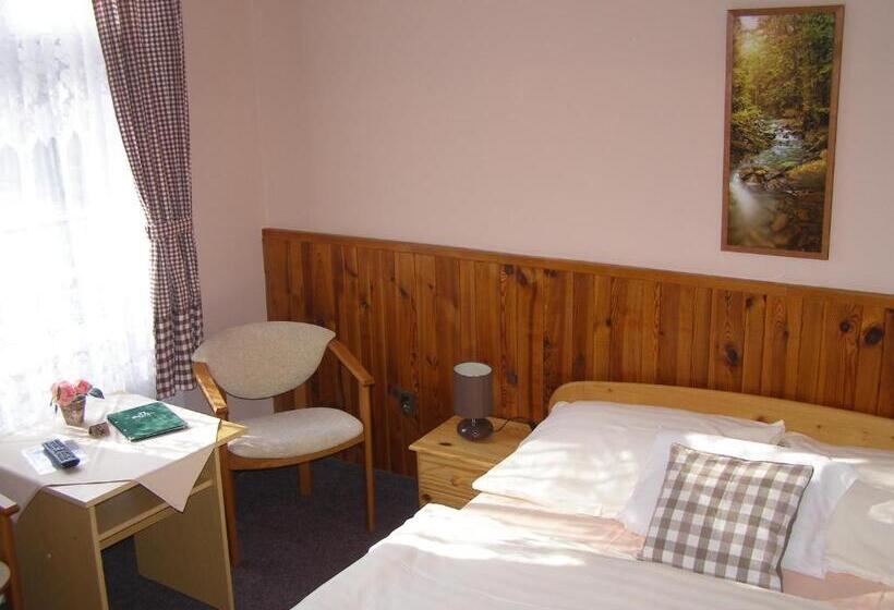 Номер Стандарт Вид на Сад, Garni Belveder