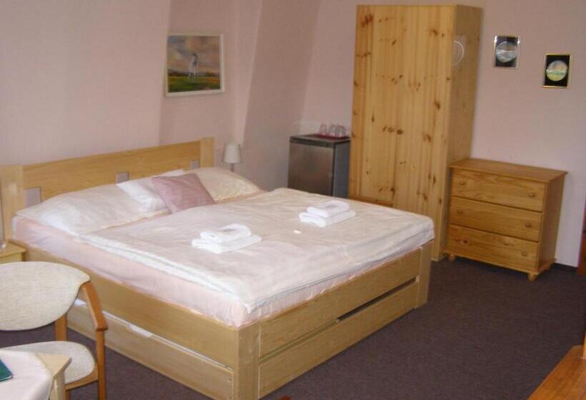 Номер Стандарт Вид на Реку, Garni Belveder