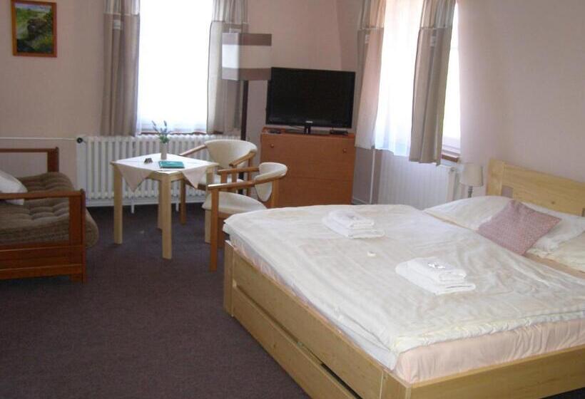 Номер Стандарт Вид на Реку, Garni Belveder