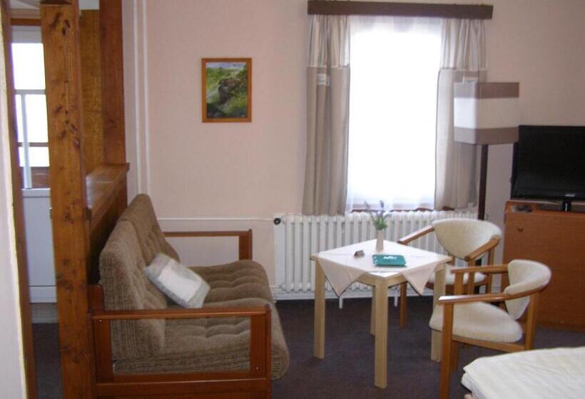 Номер Стандарт Вид на Реку, Garni Belveder