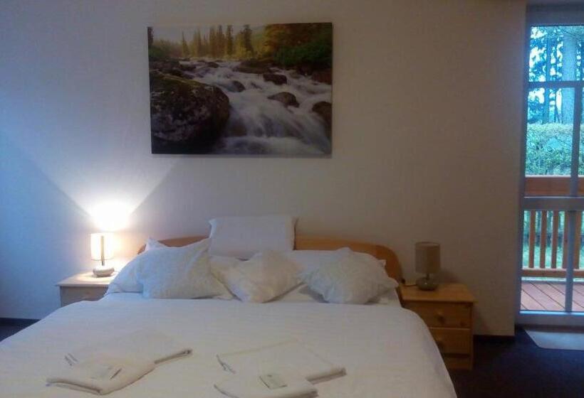 Номер Стандарт с Балконом, Garni Belveder