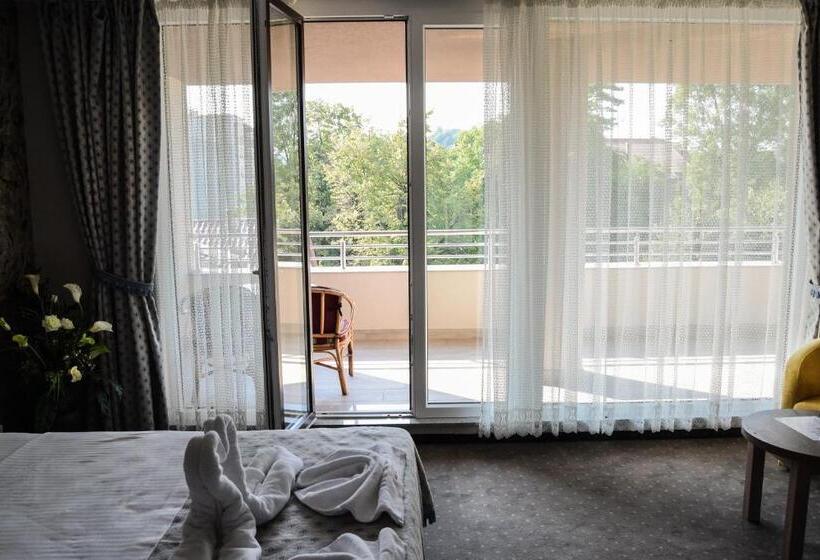 اتاق استاندارد با تراس, Moskva