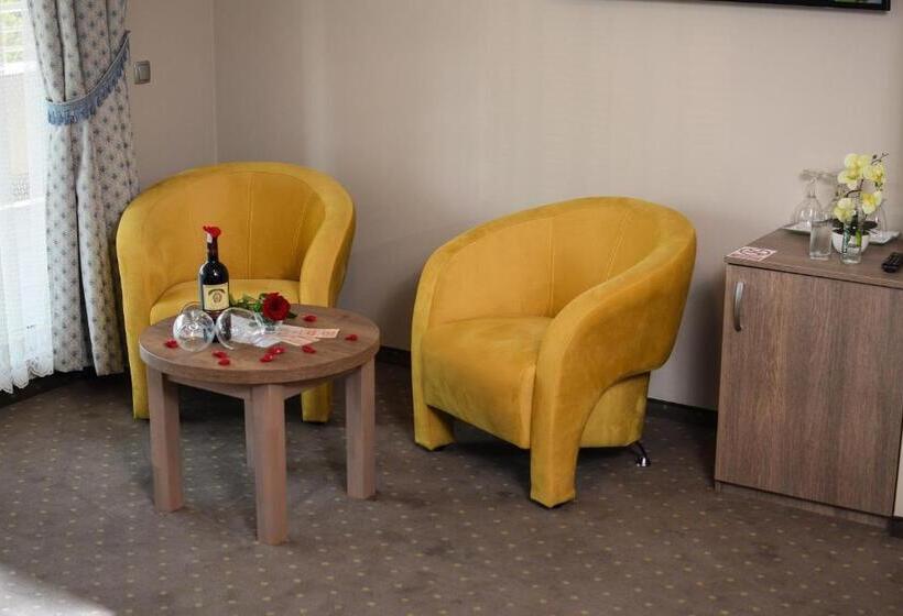 اتاق استاندارد با تراس, Moskva