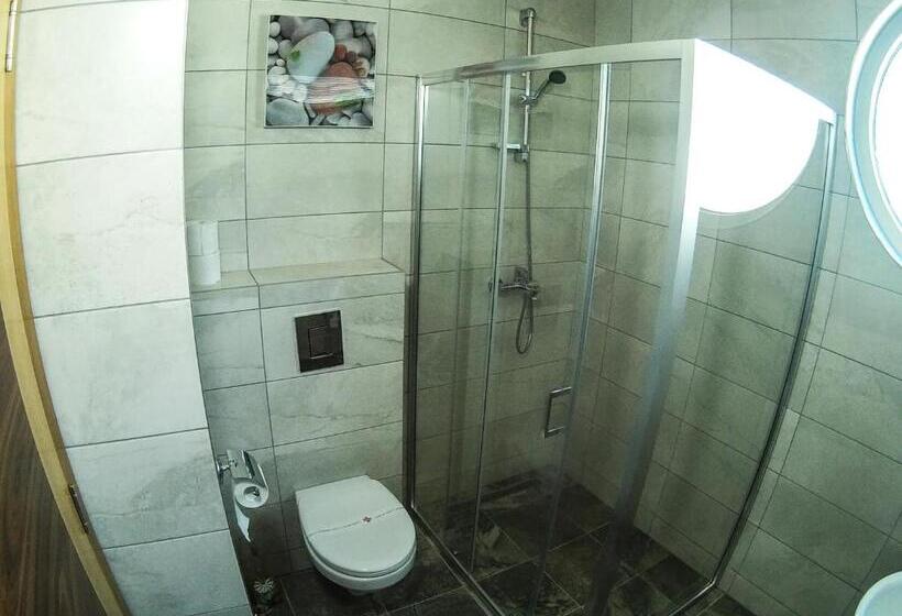 اتاق استاندارد با تراس, Moskva