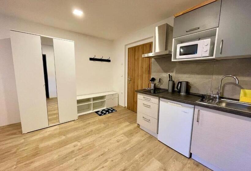 Апартаменты 1 Спальня, Pension Imlauf