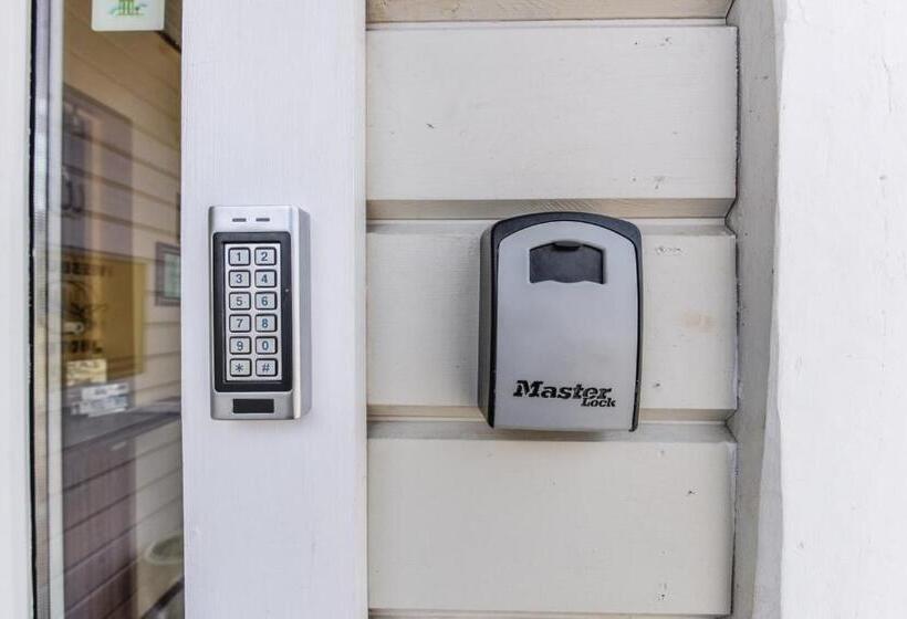 اتاق اکونومی, Dalija