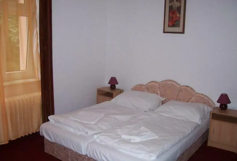 اتاق استاندارد, Penzion Haus Regrus