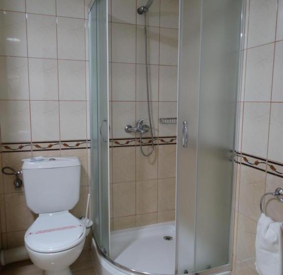 スタンダードトリプルルーム, Queen Nelly