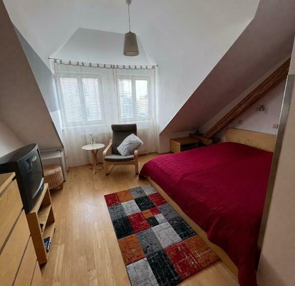 اتاق استاندارد, Penzion Viktoria