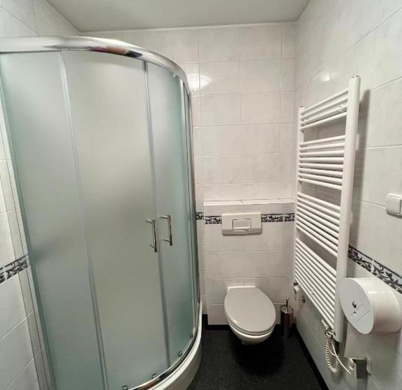 اتاق استاندارد, Penzion Viktoria