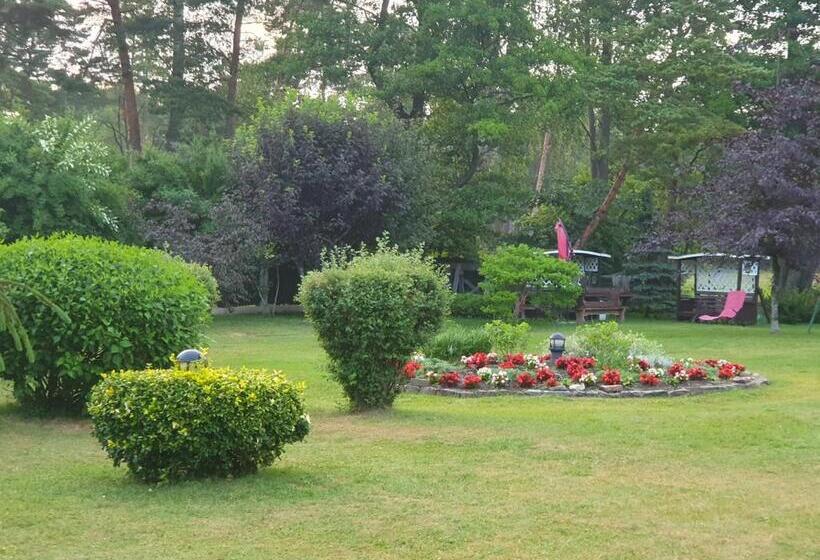 آپارتمان 1 خوابه, Villa Leonardo