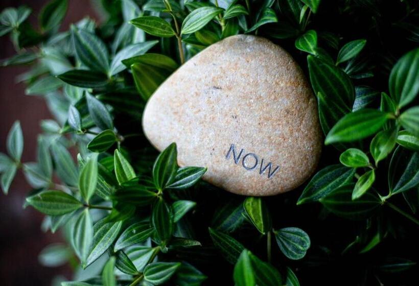 Номер Стандарт Вид на Бассейн, 1 Hotel Haitang Bay, Sanya