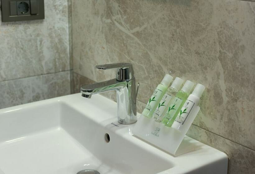 スタンダードルーム, The Fox