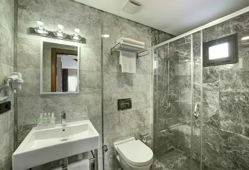 Standard Room, The Fox