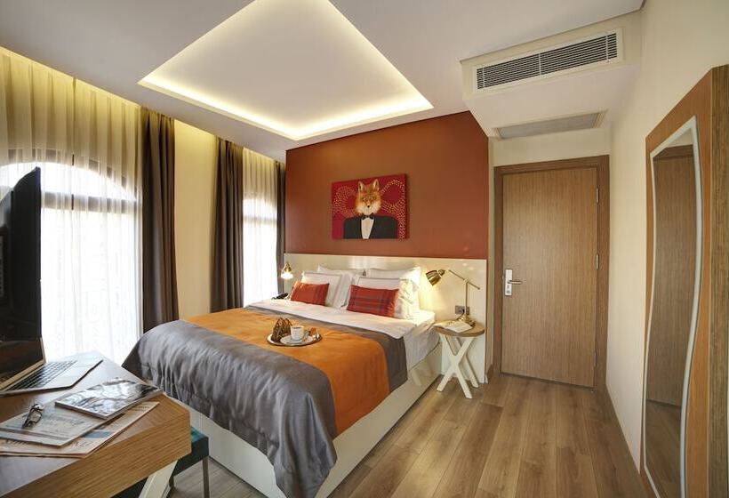 スタンダードルーム, The Fox