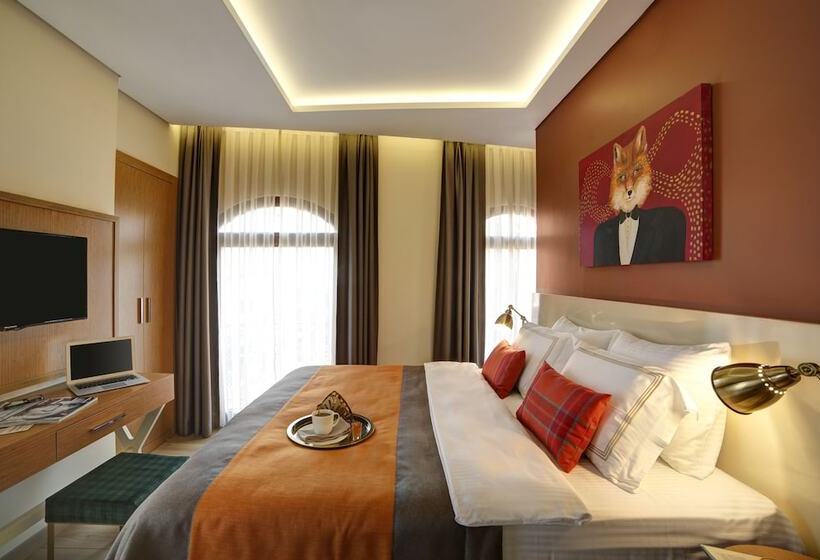 スタンダードルーム, The Fox