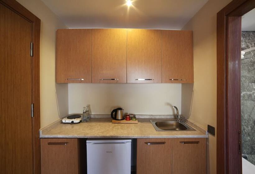 Deluxe Room, The Fox