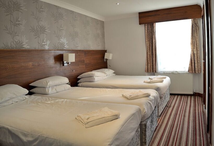 Номер Стандарт Трехместный, Leisure Inn
