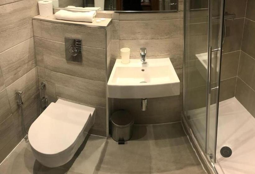 غرفة قياسية فردية, Leisure Inn