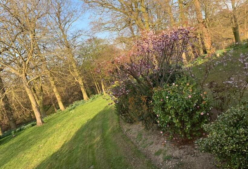 带大床的豪华间, Scarborough Hill Country Inn