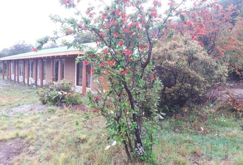 غرفة قياسية ثلاثية, Patagonia 47g