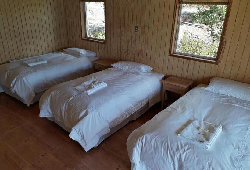 غرفة قياسية ثلاثية, Patagonia 47g