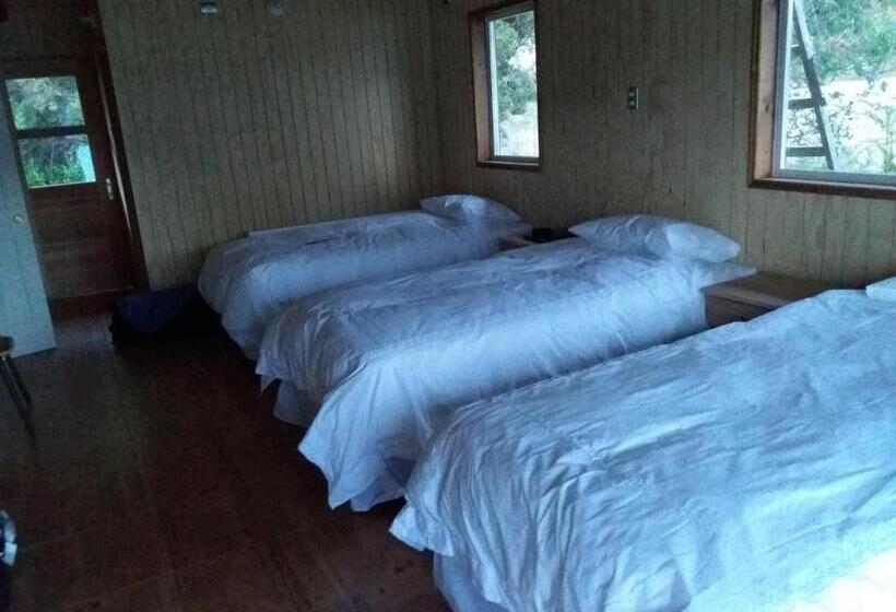 غرفة قياسية ثلاثية, Patagonia 47g