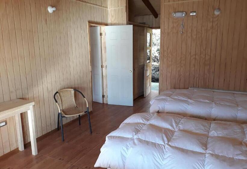 غرفة قياسية ثلاثية, Patagonia 47g