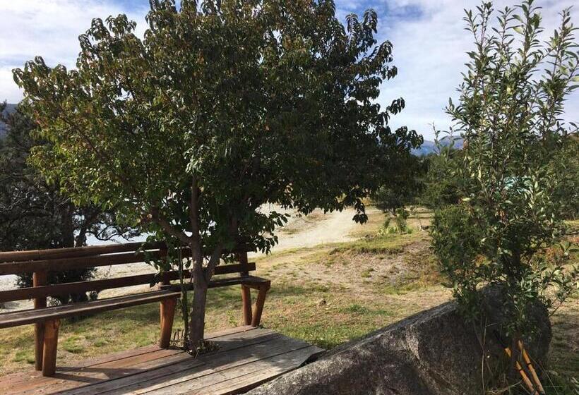 منزل 3 غرف نوم, Patagonia 47g