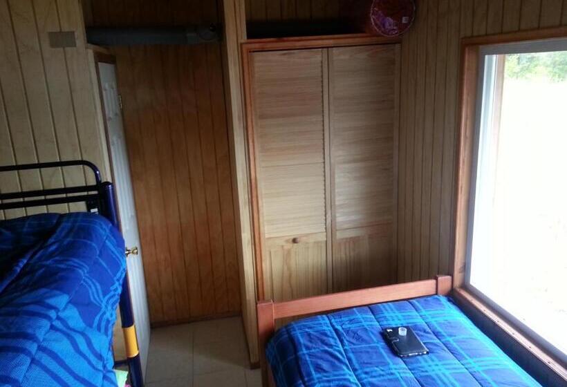 منزل 3 غرف نوم, Patagonia 47g