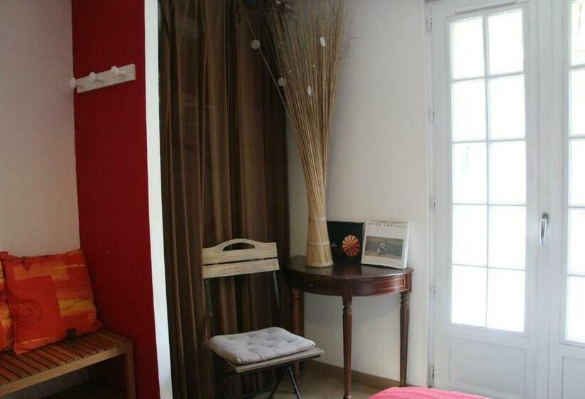 スタンダードルーム, La Cotinière