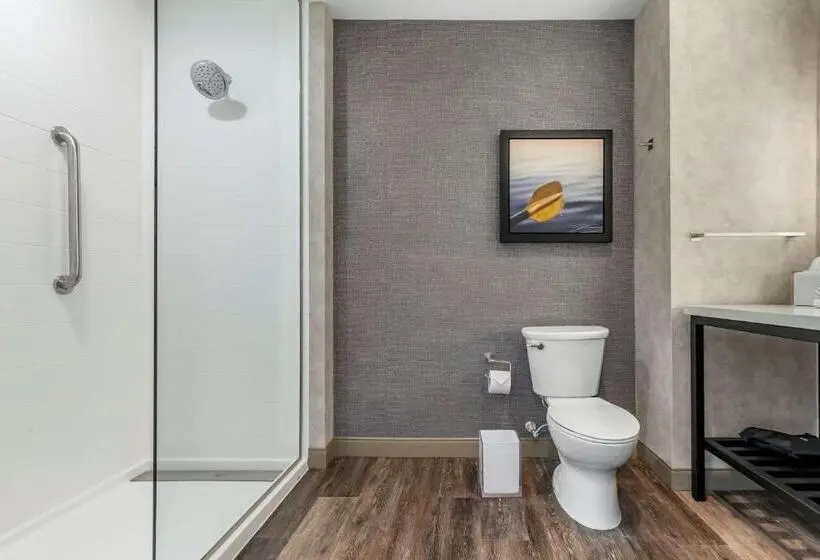 اتاق استاندارد با تخت بزرگ, Cambria Hotel Greenville