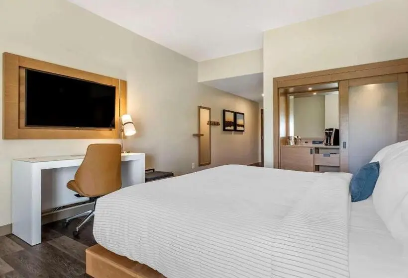 اتاق استاندارد با تخت بزرگ برای معلولان, Cambria Hotel Greenville