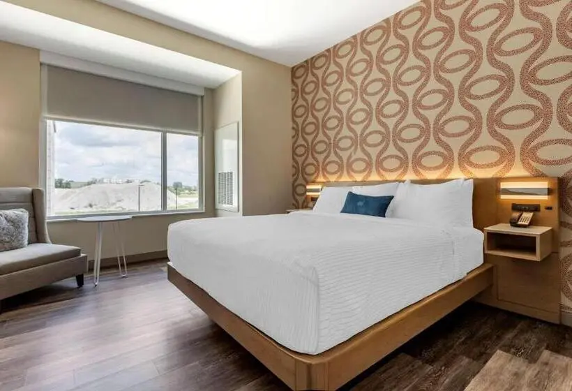 سوئیت با تخت بزرگ, Cambria Hotel Greenville