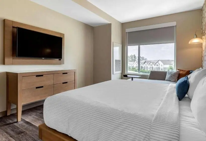 سوئیت با تخت بزرگ, Cambria Hotel Greenville