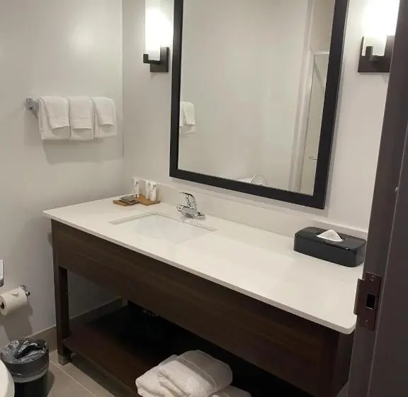 キングサイズベッドのスタンダードルーム, Country Inn & Suites By Radisson, Greensboro, Nc