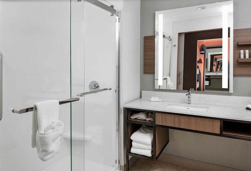 غرفه قياسيه سريرين مزدوجين, Hilton Garden Inn Chandler Downtown