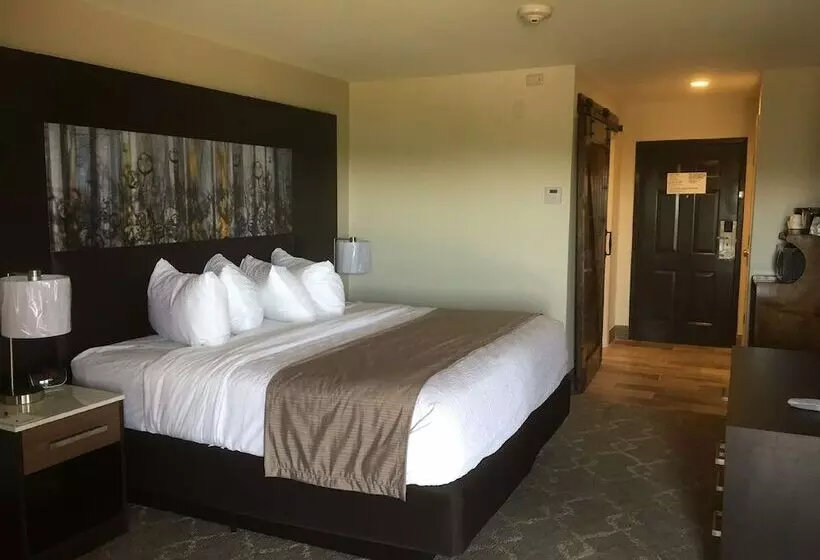 ダブルベッドスタンダードルーム, Aiden By Best Western Warm Springs Hotel And Event Center