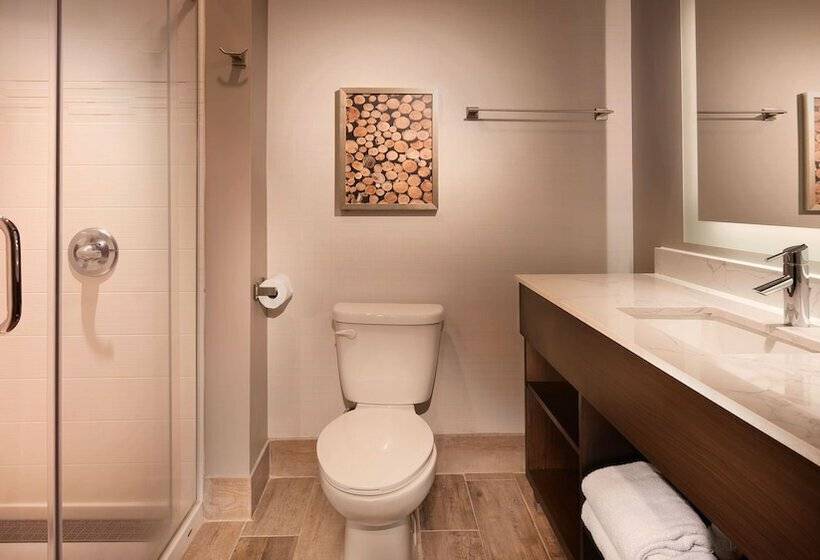 스탠다드 룸 더블 침대, Aiden By Best Western Warm Springs Hotel And Event Center